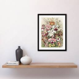 Artery8 Orchid Flower Colourful Varieties Haeckel Framed Wall Art Print - Size: A4 - thumbnail 4
