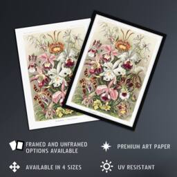 Artery8 Orchid Flower Colourful Varieties Haeckel Framed Wall Art Print - Size: A4 - thumbnail 2