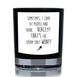60 SECOND MAKEOVER Funny Candle Sometimes I Look At People & Think, Really? You're The Sperm That Won? Candle Gift 20cl Candle in Black