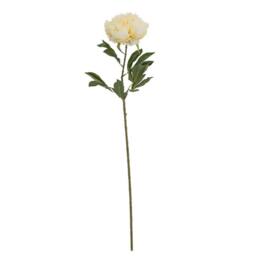 Lemon Pavilion Furniture and Decor Large Buttermilk Double Peony Stem Artificial Flower - L19xW19xH95 cm in Cream - thumbnail 1