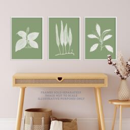 Wee Blue Coo Pack of 3 Sage Green Tree Plant Detailed Foliage Xray Imprint Monochrome Botanical Unframed Wall Art Living Room Prints Set in Pale Green - thumbnail 2