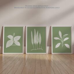Wee Blue Coo Pack of 3 Sage Green Tree Plant Detailed Foliage Xray Imprint Monochrome Botanical Unframed Wall Art Living Room Prints Set in Pale Green - thumbnail 6
