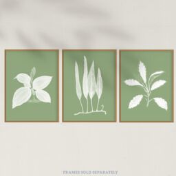 Wee Blue Coo Pack of 3 Sage Green Tree Plant Detailed Foliage Xray Imprint Monochrome Botanical Unframed Wall Art Living Room Prints Set in Pale Green - thumbnail 5