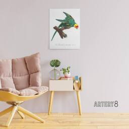 "Artery8 The Yellow Crowned Parakeet Levaillant Canvas Wall Art Print in White - Size: W12"" x H16""" - thumbnail 3