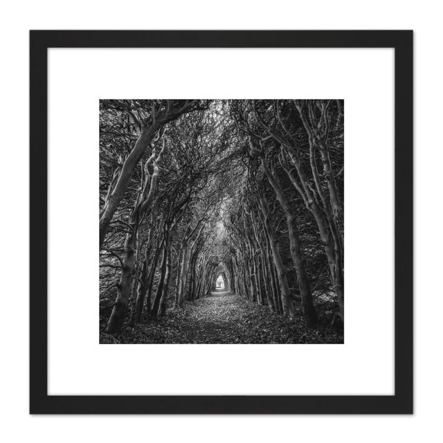 Artery8 Tree Tunnel Lane Atmospheric Black White 8X8 Inch Square Wooden Framed Wall Art Print Picture with Mount - image 1