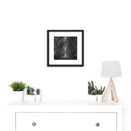 Artery8 Tree Tunnel Lane Atmospheric Black White 8X8 Inch Square Wooden Framed Wall Art Print Picture with Mount - thumbnail 2