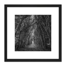 Artery8 Tree Tunnel Lane Atmospheric Black White 8X8 Inch Square Wooden Framed Wall Art Print Picture with Mount - thumbnail 1