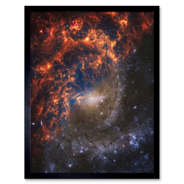 "Artery8 NASA Hubble James Webb Telescope Spiral Galaxy NGC 2835 Framed Art in Black - Size: W12"" x H16""" - image 1