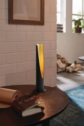 Eglo Barbotto Black Steel & Gold Table Lamp - thumbnail 2