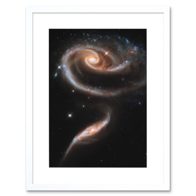 Artery8 Wall Art Print Hubble Space Astronomy 21st Anniversary A Rose Made Of Interacting Galaxies Arp 273 Cosmic Flower Formation UGC 1810 & UGC - image 1
