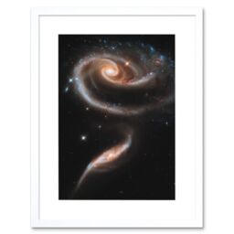 Artery8 Wall Art Print Hubble Space Astronomy 21st Anniversary A Rose Made Of Interacting Galaxies Arp 273 Cosmic Flower Formation UGC 1810 & UGC - thumbnail 1