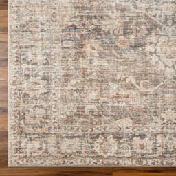 Livabliss Becki Owens Marlene-Vintage Brown Beige Traditional Boho Living Dining Rug in Taupe - Size: 117 cm x 170 cm - thumbnail 8