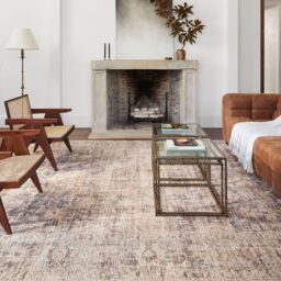 Livabliss Becki Owens Marlene-Vintage Brown Beige Traditional Boho Living Dining Rug in Taupe - Size: 117 cm x 170 cm - thumbnail 7