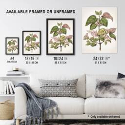 Artery8 New Zealand Makomako Flowering Plant Featon Framed Wall Art Print in Beige - Size: A4 - thumbnail 3