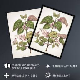 Artery8 New Zealand Makomako Flowering Plant Featon Framed Wall Art Print in Beige - Size: A4 - thumbnail 2