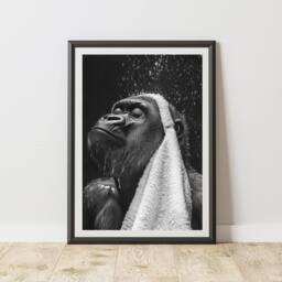 60 SECOND MAKEOVER Gorilla In the Shower Quirky Animal Print - Size: A4 - thumbnail 1