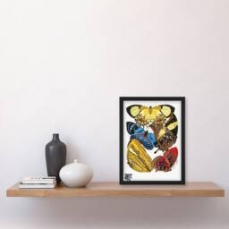 Artery8 Eugene Seguy Framed Wall Art Vintage Butterflies Yellow Red Blue - Size: A4 - thumbnail 2