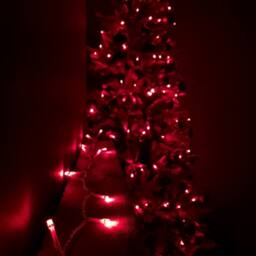 Samuel Alexander 16m 200 LEDs Indoor Outdoor Supabrights Christmas Lights in Red with Timer - thumbnail 1
