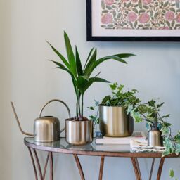 Royal Botanic Gardens Kew Kew Matt Brass Plant Mister 14Cm - Comes Gift Boxed - Premium Quality - Rust Resistant in Gold