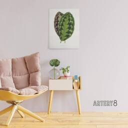 "Artery8 AF Lydon Benjamin Fawcett Calathea Veitchiana Leaf Canvas Art Print in White - Size: W12"" x H16""" - thumbnail 3