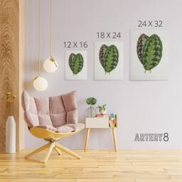 "Artery8 AF Lydon Benjamin Fawcett Calathea Veitchiana Leaf Canvas Art Print in White - Size: W12"" x H16""" - thumbnail 4