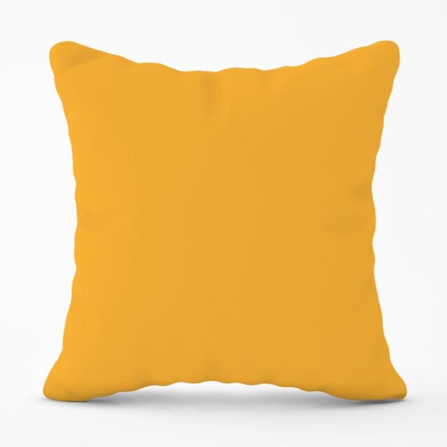 Warren Reed - Designer Cantaloupe Orange Outdoor Cushion - Size: 60 cm x 60 cm - image 1