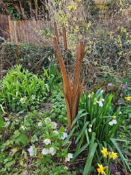 Inspirational Gifting Decorative Reeds Garden Stake Border Plant Support in Brown - thumbnail 2