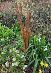 Inspirational Gifting Decorative Reeds Garden Stake Border Plant Support in Brown - thumbnail 1