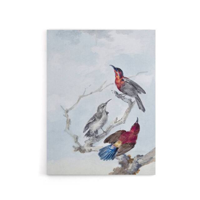 "Artery8 Three Crimson Sunbirds Watercolour Schouman Canvas Wall Art Print in Blue - Size: W12"" x H16""" - image 1