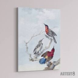 "Artery8 Three Crimson Sunbirds Watercolour Schouman Canvas Wall Art Print in Blue - Size: W12"" x H16""" - thumbnail 2
