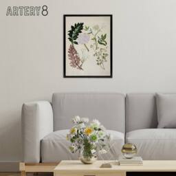 "Artery8 New Zealand Ligosticum Latifolium Flowers Featon Framed Canvas Art in Beige - Size: W12"" x H16""" - thumbnail 3
