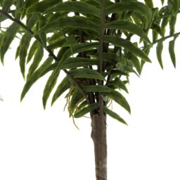 Leaf 50cm Artificial Boston Fronded Fern Plant in Green - thumbnail 4