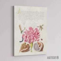 "Artery8 Carnation Walnut & Mollusk Calligraphy Canvas Wall Art Print in White - Size: W12"" x H16""" - thumbnail 2