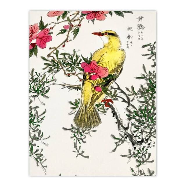 "Artery8 Bush Warbler & Drooping Peach Tree Vintage Wall Art Print Kashu - Size: W12"" x H16""" - image 1