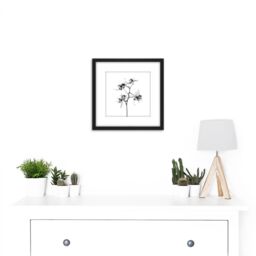 Artery8 Schwartz NJIT Orchid Flower Transparent Greyscale X-Ray Photo 8X8 Inch Square Wooden Framed Wall Art Print Picture with Mount in Black - thumbnail 2