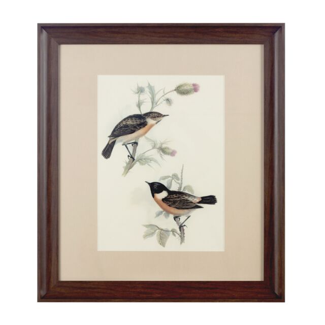 Orsina Framed Birds 2 Wall Art Home Wall Décor in Brown - image 1