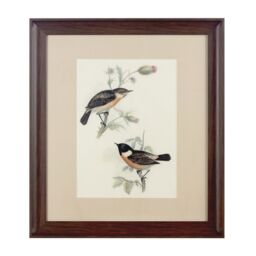 Orsina Framed Birds 2 Wall Art Home Wall Décor in Brown - thumbnail 2
