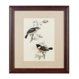 Orsina Framed Birds 2 Wall Art Home Wall Décor in Brown - thumbnail 1