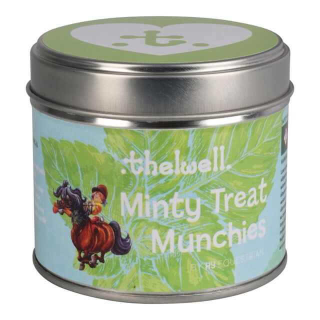 Thelwell Minty Treat Munchies Scented Candle in Green