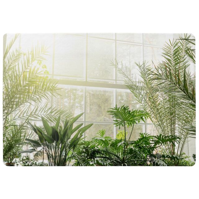 Benjamin Tate Design Green Plants In Botanical Gardens Designer Rug in Natural - Size: Large - image 1