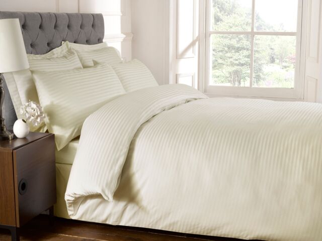 Rapport Home 250 Thread Count Oxford Pillowcase Each in Cream - Size: Standard Pillow Case - image 1