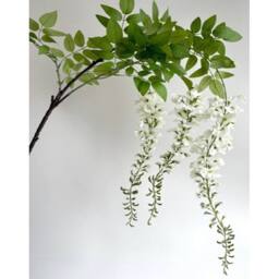Sostter Artificial White Wisteria Spray 180cm in Soft White - thumbnail 1