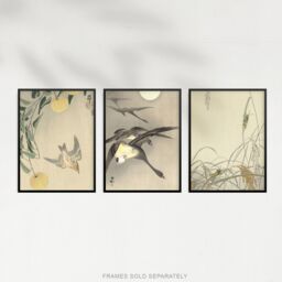 Artery8 Wall Art Print Pack of 3 A4 Ohara Koson Japan Kachō-e Bird & Flower Cuckoo Geese Grasshoppers Japanese Paintings Living Room s Set - thumbnail 5
