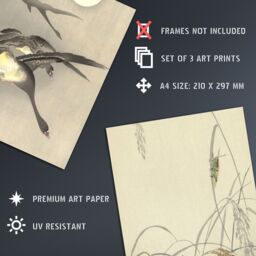 Artery8 Wall Art Print Pack of 3 A4 Ohara Koson Japan Kachō-e Bird & Flower Cuckoo Geese Grasshoppers Japanese Paintings Living Room s Set - thumbnail 4