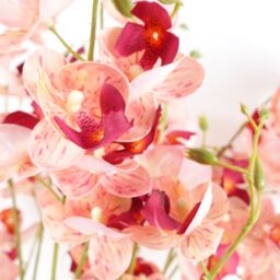 Leaf Pack of 6 x 80cm Pink Artificial Mini Orchid Stem - Size: 6 x 80 cm - thumbnail 3