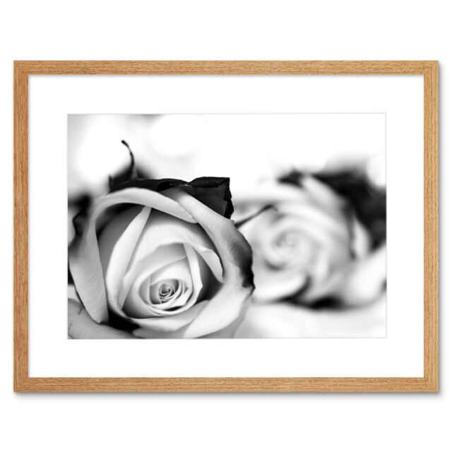 "Artery8 Wall Art Print Black & White Roses Romance Art Black Framed 9x7 inch in Beige - Size: W7"" x H9""" - image 1