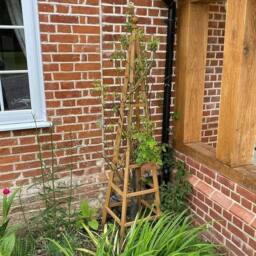 Havendro Garden Obelisk Heavy Duty Plant Support Climbing Frame Pyramid Wood in Brown - thumbnail 3