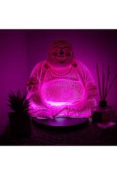 KDMD Laughing Buddha Dragonfruit Crackle Glow Lamp with Round Base in Pink - thumbnail 2