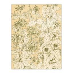 Artery8 Owen Jones Framed Wall Art Leaves From Nature No 9 Vintage Botanical in Beige - Size: A4 - thumbnail 3