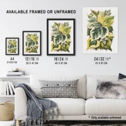 "Artery8 Ivy Leaf Variations Vintage Botanical Hibberd Wall Art Poster Print in Green - Size: W18"" x H24""" - thumbnail 3